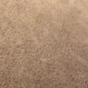 Meet your Posher, Tim